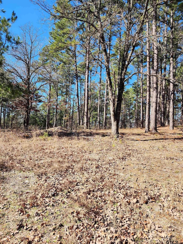 16373 County Road 436, Lindale TX, 75771 land for sale