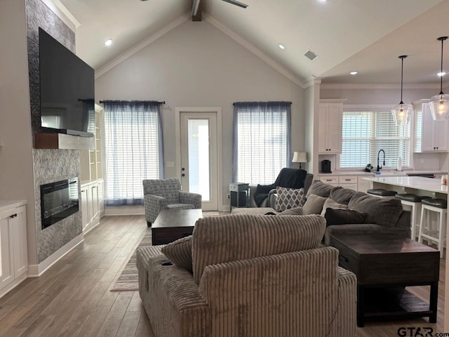 living room with sink, hardwood / wood-style flooring, a fireplace, and plenty of natural light