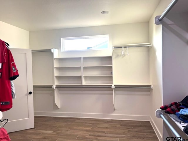 spacious closet featuring dark hardwood / wood-style floors