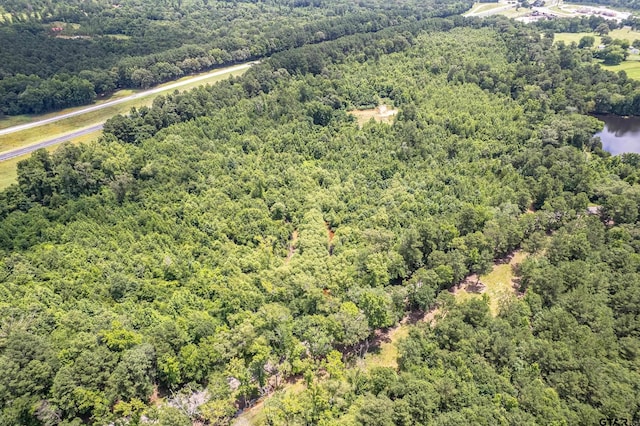 0 C R 353, Tyler, TX 75708 - photo 3