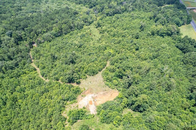 0 C R 353, Tyler, TX 75708 - photo 14