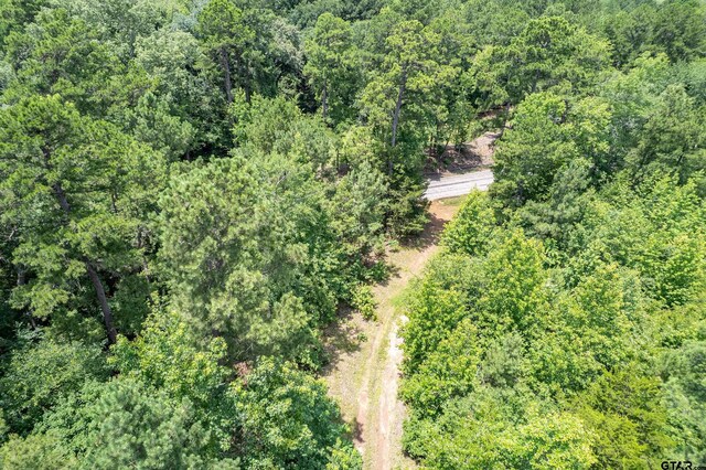 0 C R 353, Tyler, TX 75708 - photo 11
