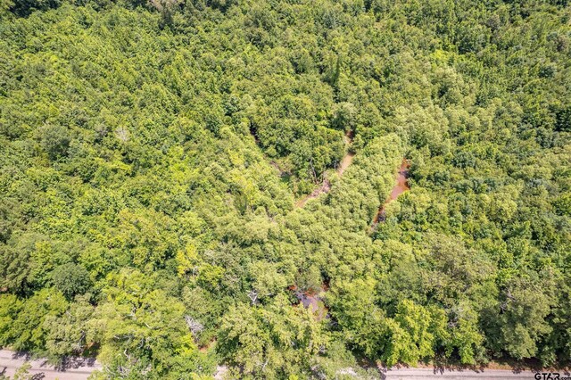 0 C R 353, Tyler, TX 75708 - photo 5