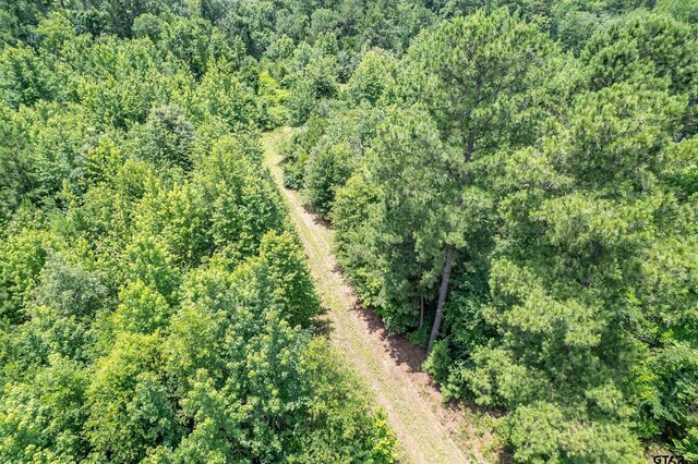 0 C R 353, Tyler, TX 75708 - photo 9