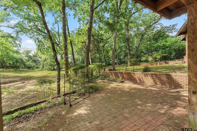 view of yard with a patio area
