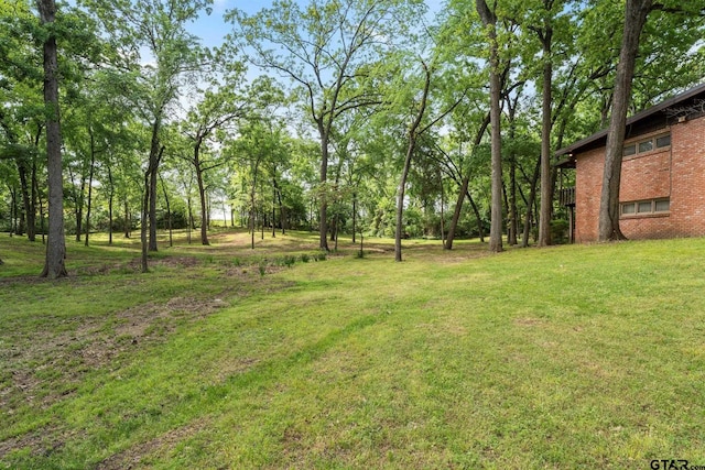 view of yard