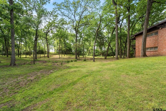 101 Bluebird St, Mount Pleasant, TX 75455 - photo 37