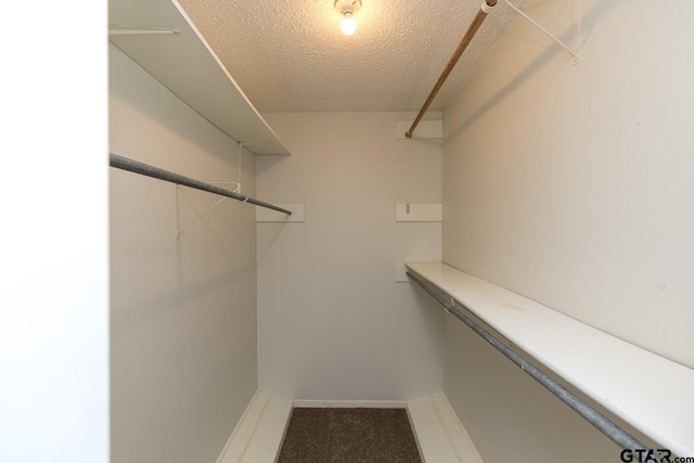 walk in closet featuring carpet flooring