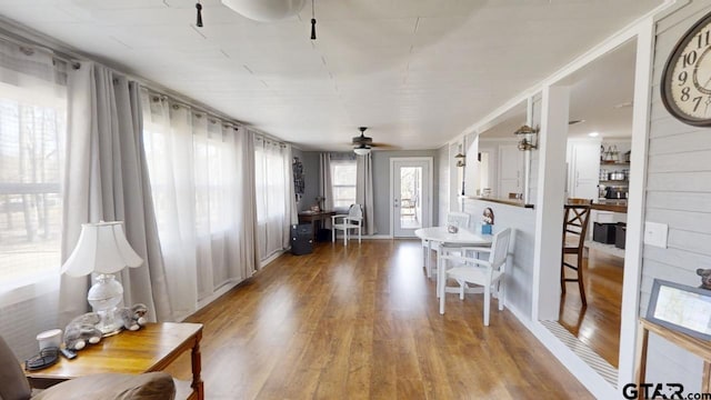 living room with ceiling fan and hardwood / wood-style floors