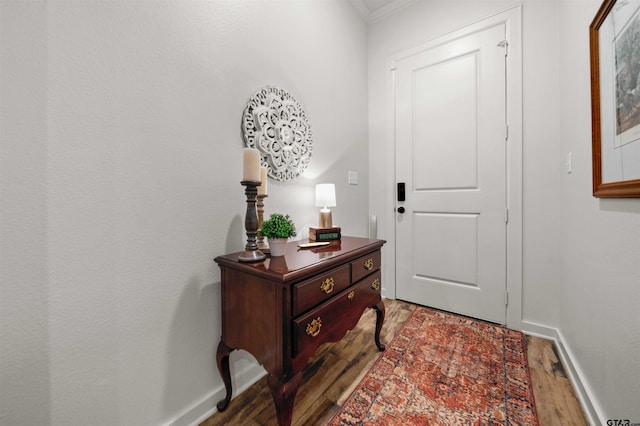 foyer with ornamental molding and wood-type flooring