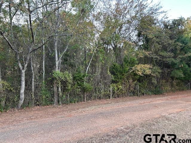 Listing photo 2 for 18698 Fm 14, Lindale TX 75771