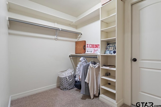 walk in closet featuring carpet