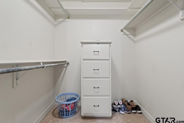 view of spacious closet