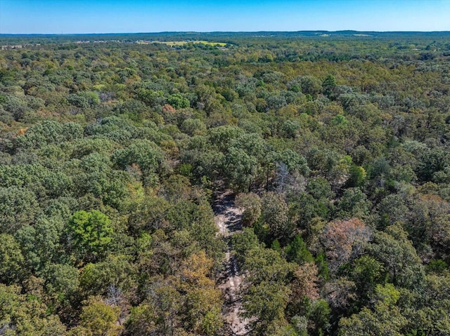 TRACT3 Fm 279, Ben Wheeler TX, 75754 land for sale