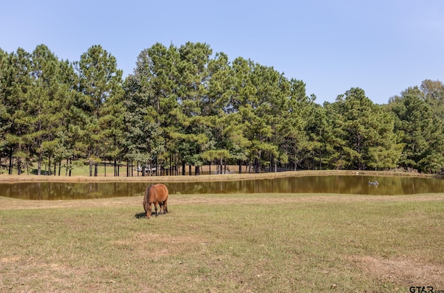 surrounding community featuring a water view and a yard