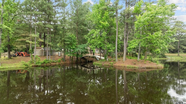 13774 Fm 757, Winona, TX 75792 - photo 46