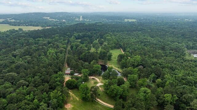 13774 Fm 757, Winona, TX 75792 - photo 48