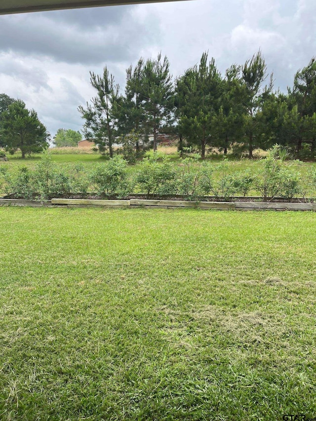2130FM E 22, Jacksonville, TX 75766 - photo 15