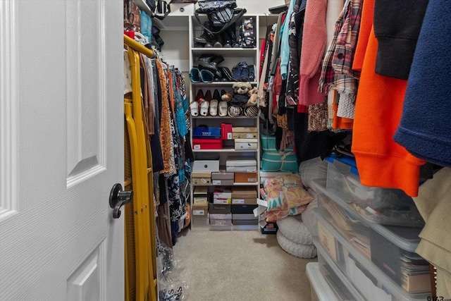 spacious closet featuring carpet