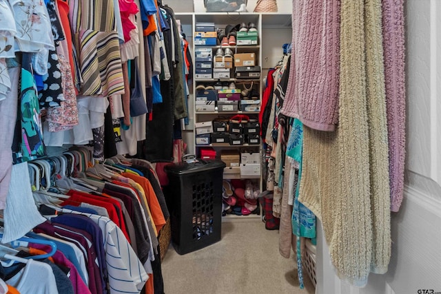 spacious closet with carpet floors