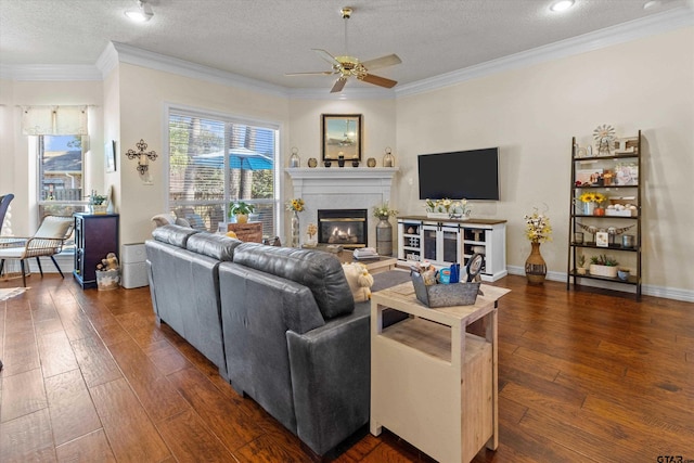 living room with ceiling fan, dark hardwood / wood-style floors, a textured ceiling, and crown molding