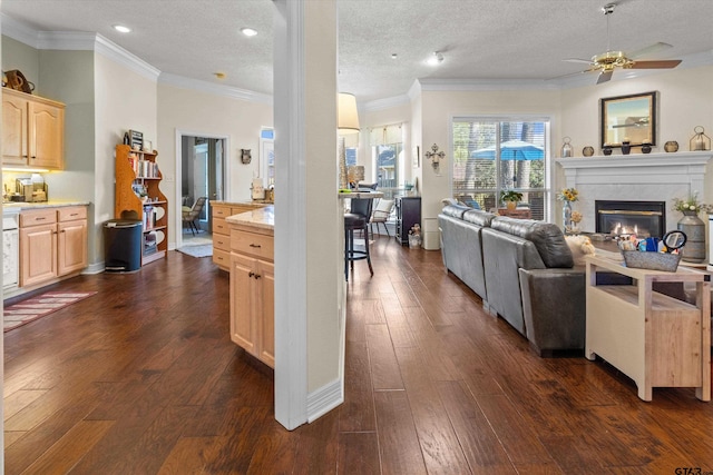 living room featuring ornamental molding, ceiling fan, a textured ceiling, and dark hardwood / wood-style floors