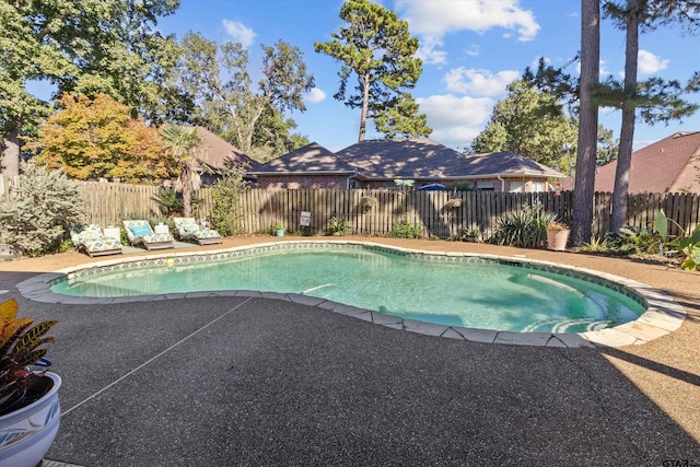 view of pool featuring a patio area