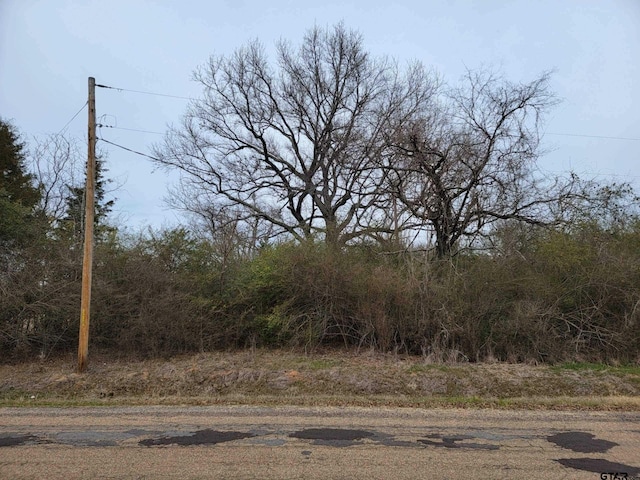 Listing photo 2 for TBD Cr 1660, Mount Pleasant TX 75455