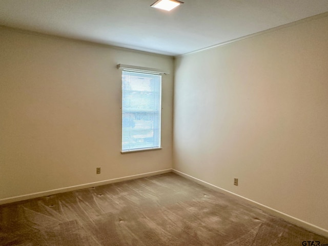 unfurnished room with carpet