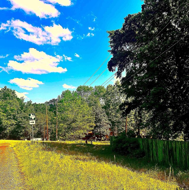 000 Fm 1248, Rusk, TX 75785 - photo 2