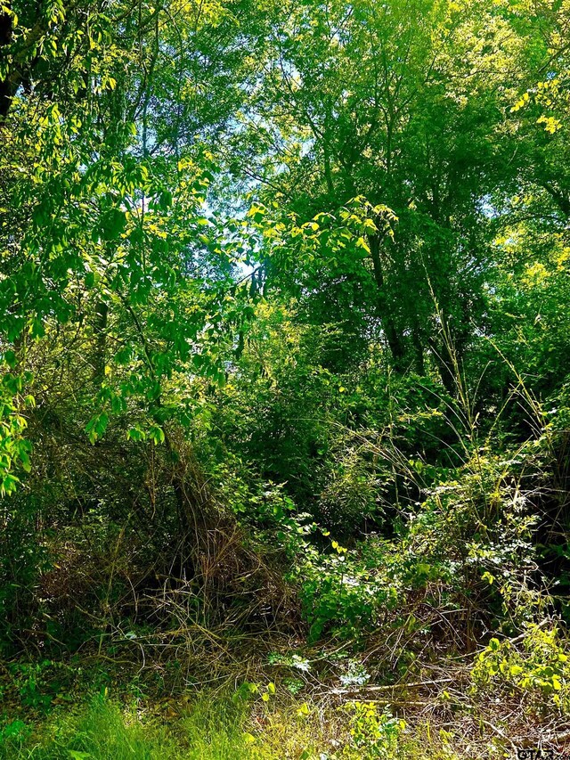 000 Fm 1248, Rusk, TX 75785 - photo 7