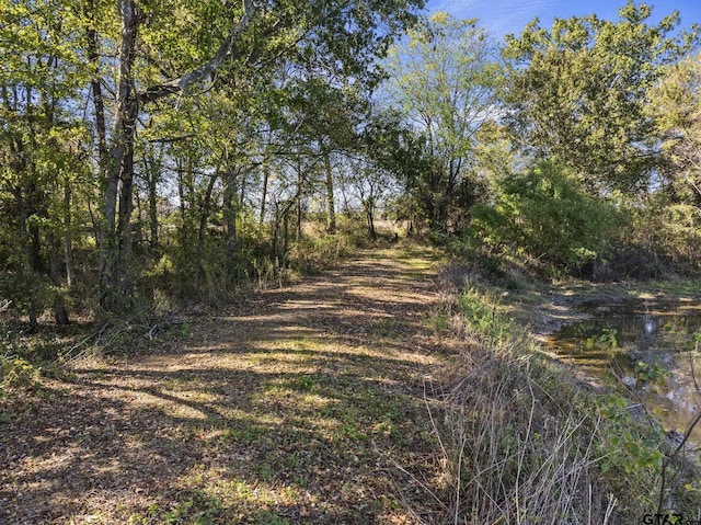 view of local wilderness