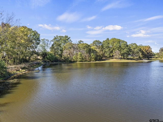 property view of water