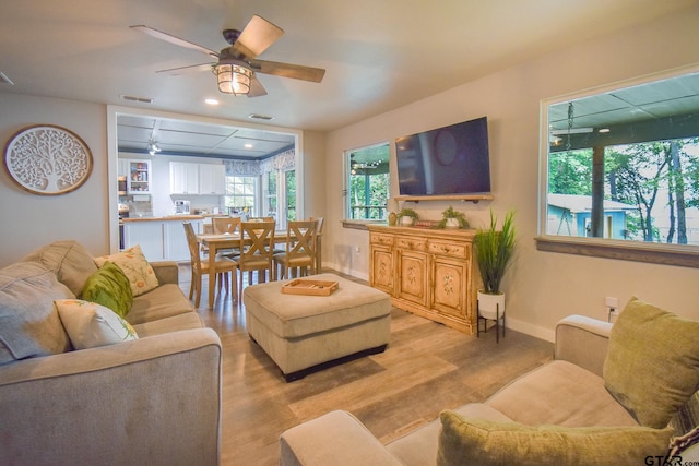 living room with ceiling fan and light hardwood / wood-style floors