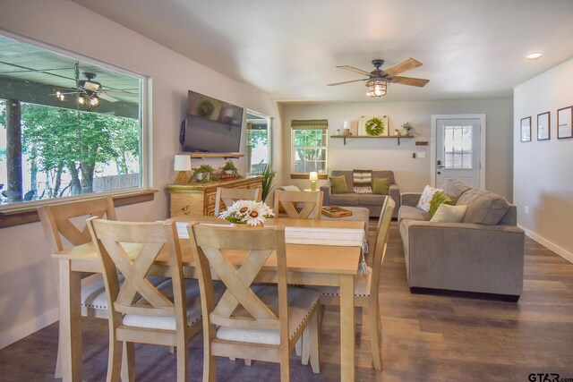 dining space featuring dark wood-type flooring