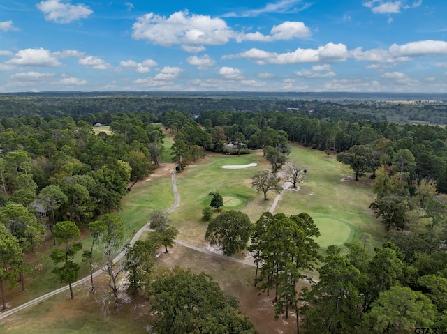 271 Greenbriar Trl, Holly Lake Ranch, TX 75765 - photo 33