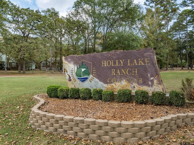 271 Greenbriar Trl, Holly Lake Ranch, TX 75765 - photo 31
