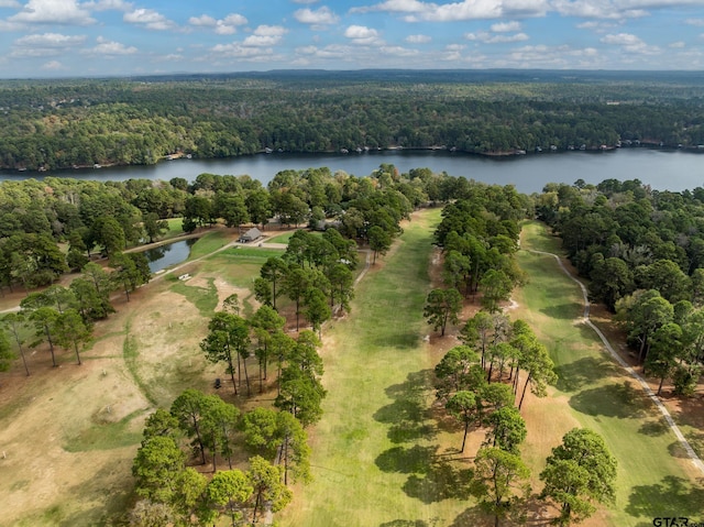 271 Greenbriar Trl, Holly Lake Ranch, TX 75765 - photo 32
