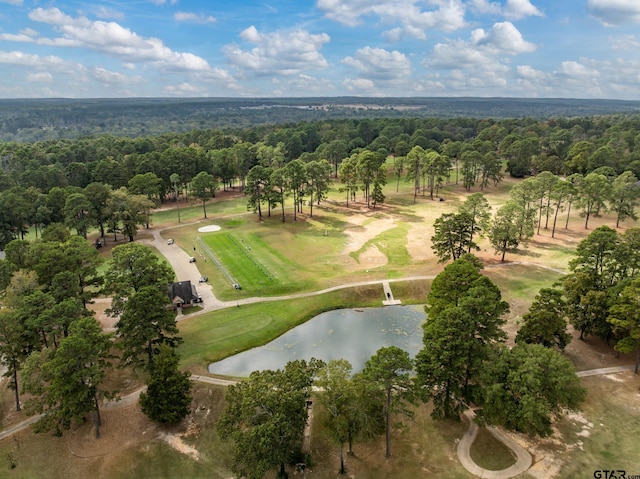 271 Greenbriar Trl, Holly Lake Ranch, TX 75765 - photo 34