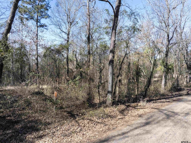 TBD County Road 4246, Pittsburg, TX 75686