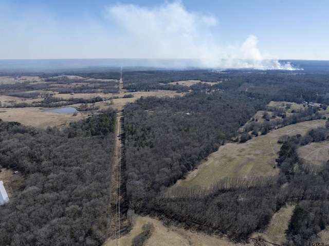 TBD County Road 4246, Pittsburg, TX 75686