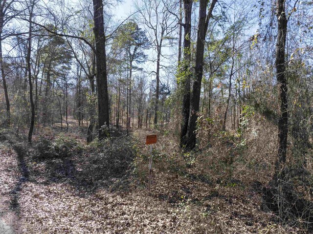 TBD County Road 4246, Pittsburg, TX 75686