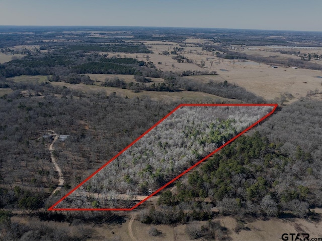 TBD County Road 4246, Pittsburg, TX 75686