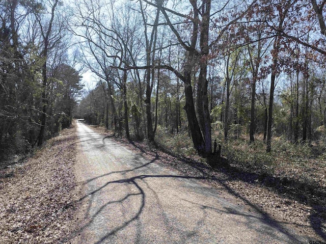 TBD County Road 4246, Pittsburg, TX 75686