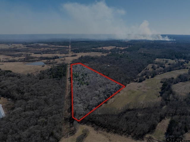 TBD County Road 4246, Pittsburg, TX 75686
