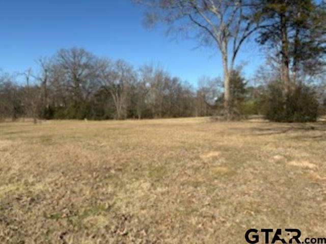 000 Sh 314, Van TX, 75790 land for sale