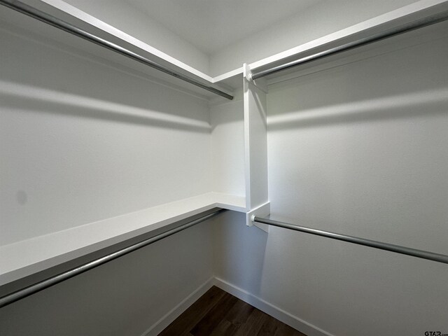spacious closet featuring dark wood-style flooring