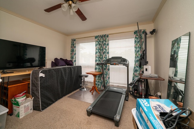 workout area featuring ceiling fan and crown molding