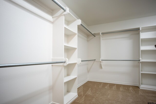 walk in closet featuring light colored carpet