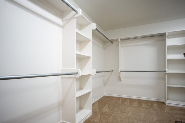 walk in closet with carpet